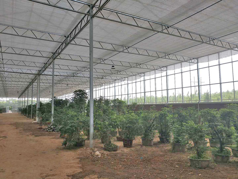 温室大棚如何提高化肥利用效率？
