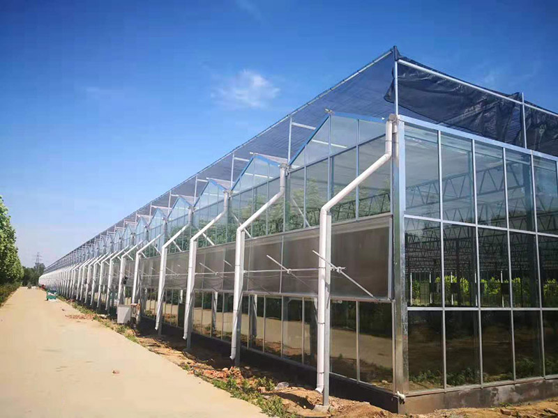 建设温室大棚要严格把控空气湿度